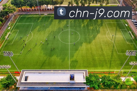 j9九游会真人游戏第一品牌APP 封面图